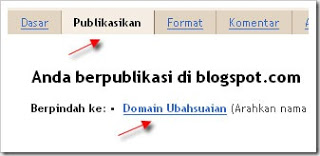 Custom Domain Blogger9